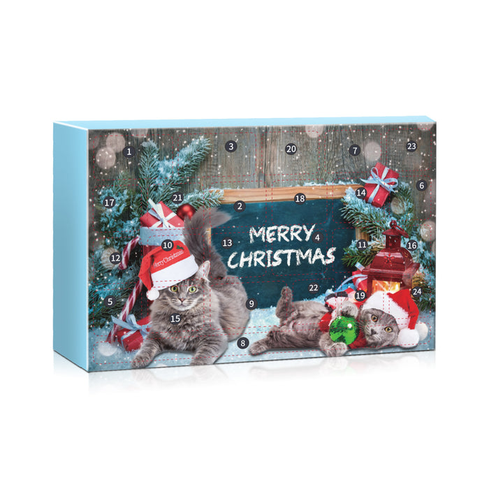 Cat Advent Calendar – 24 Days of Christmas Surprises