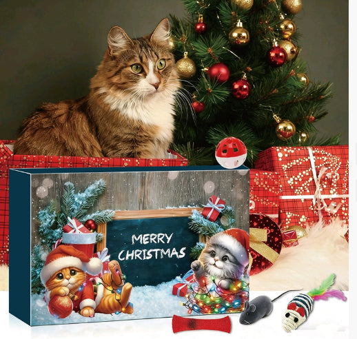 Cat Advent Calendar in a Christmas setting