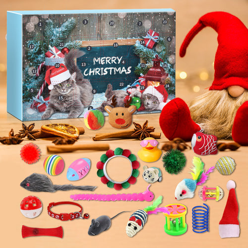 Cat Advent Calendar box with all 24 cat toys laid out