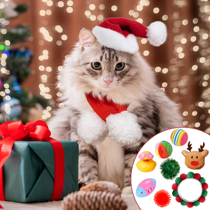Cat Advent Calendar – 24 Days of Christmas Surprises