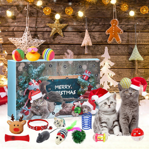 Cat Advent Calendar box with cat toys and two kittens in Santa hats